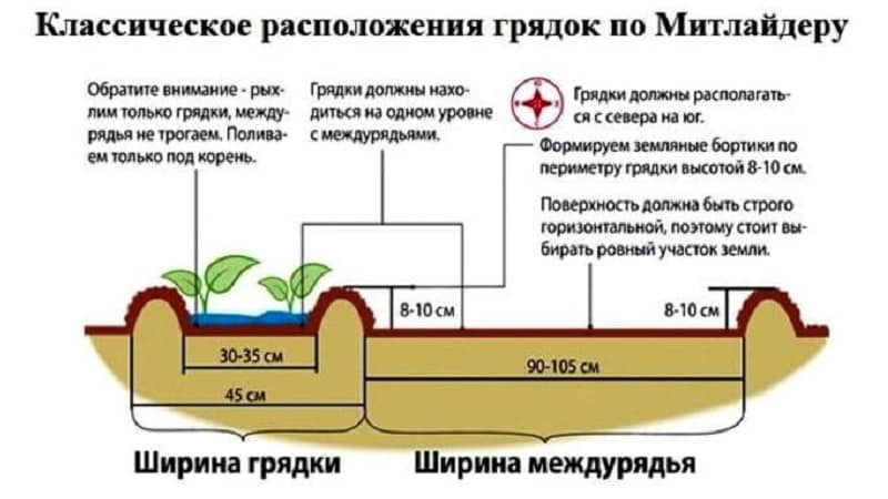 Planting and growing potatoes using the Mittlider method for high yields