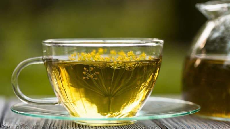 Dill for cleansing the brain: how to take it and contraindications