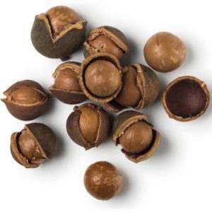 Macadamia nut shell - beneficial properties and uses