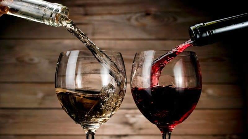 Heat-loving, high-yielding grape variety Garnacha (Grenache)