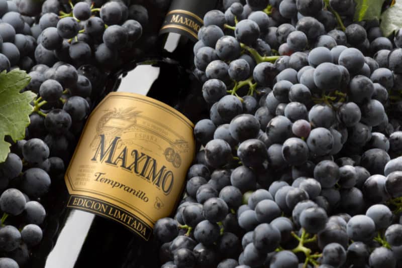 Famous low-calorie grape variety Tempranillo