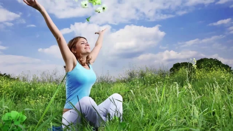 Fine-flowered basil - uses and beneficial properties