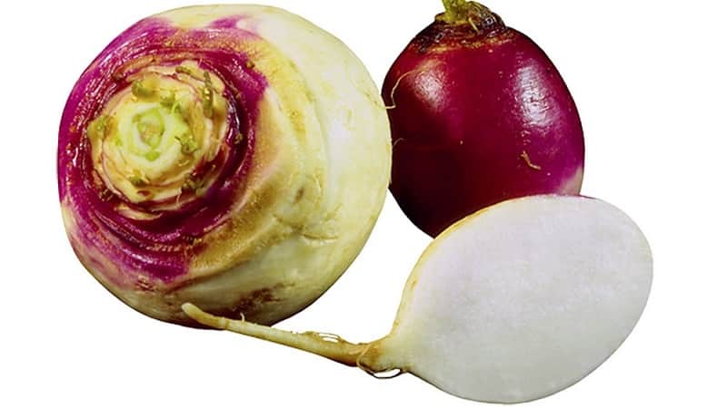 What is the difference between rutabaga and turnip