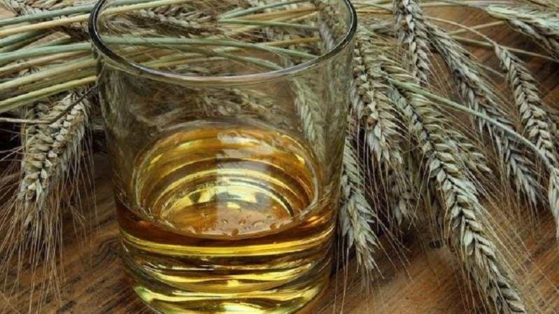 Secrets of making whiskey from barley at home