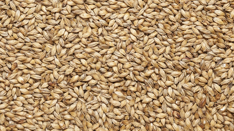 Secrets of making whiskey from barley at home