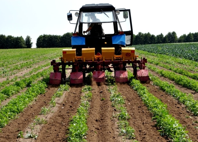 Machines for cultivating potatoes - features of agricultural machinery