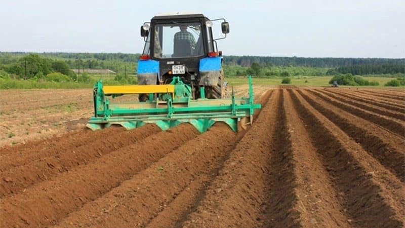 Machines for cultivating potatoes - features of agricultural machinery