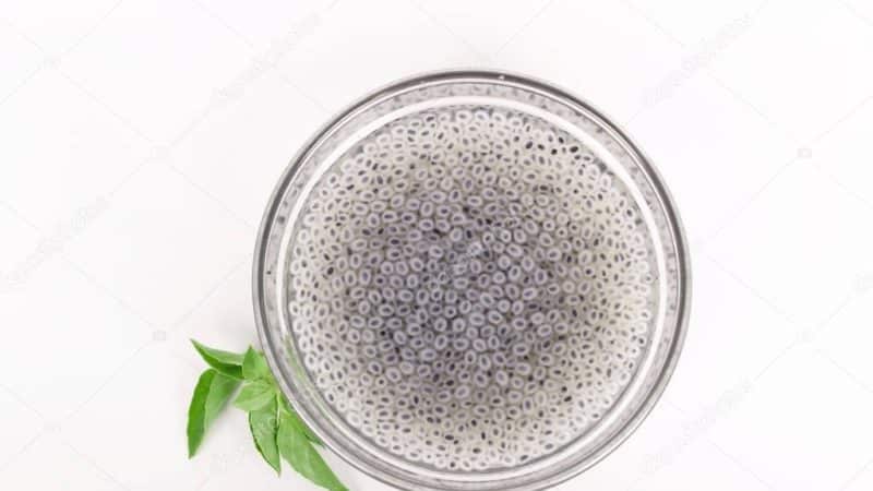 Is it necessary to soak basil seeds before planting and how to do it correctly