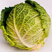 Description, cultivation, popular varieties of Savoy cabbage