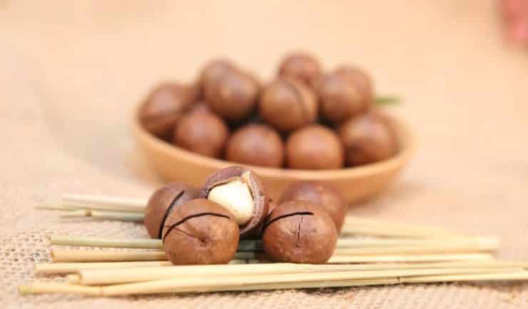 What is good about chocolate macadamia nuts and how to eat them correctly