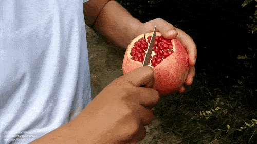 Pomegranate - consumption rates per day, can it be eaten with seeds?
