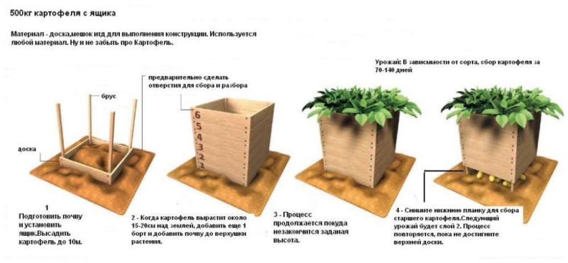 New methods of planting potatoes and care features