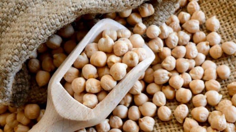 Chickpeas - composition, calorie content, benefits and harm