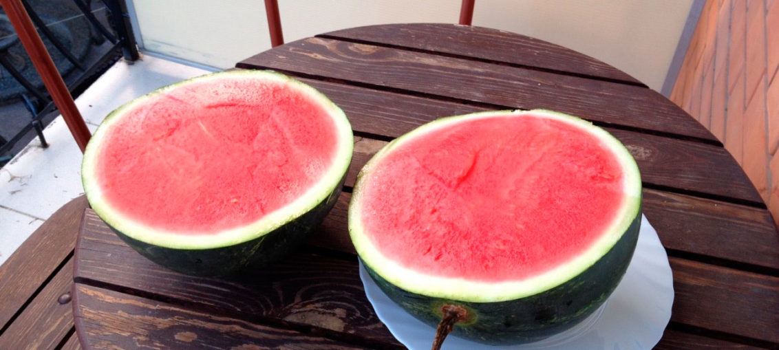 What is good about watermelon without seeds, what varieties are there and how to grow it