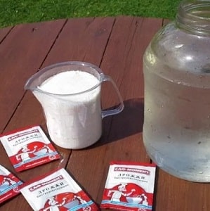 What are the benefits of fertilizing cucumbers in a greenhouse with yeast, how to prepare and use it correctly