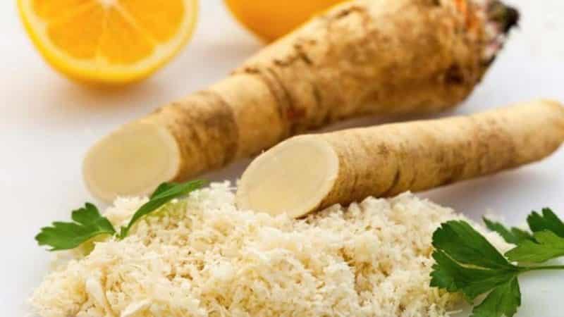 Is it possible to use horseradish during pregnancy and breastfeeding?