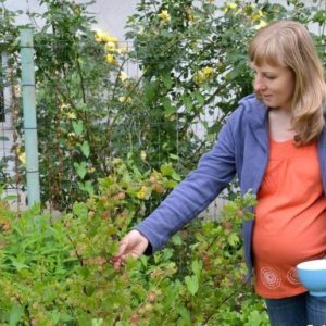 What are the benefits of gooseberries for women?