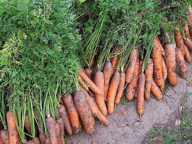 How to make healthy and tasty carrot and orange jam