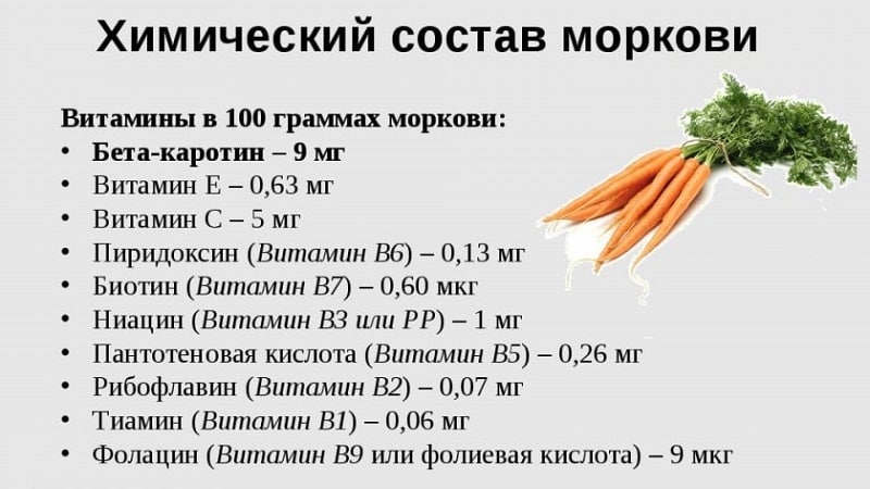 Carrots - what kind of plant is it, how much does it weigh, what does it consist of - all about carrots