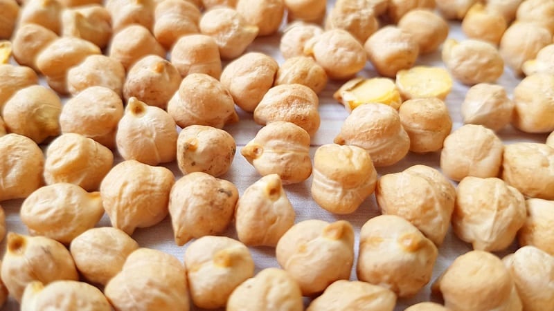 Description and characteristics of chickpeas