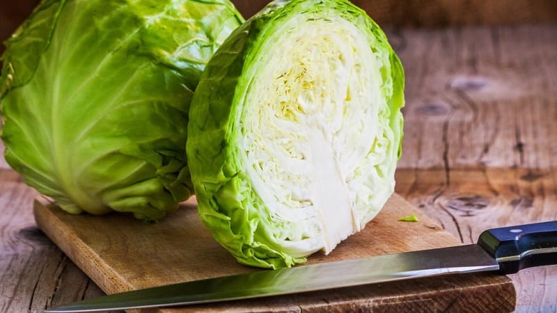 Early ripening unpretentious variety of cabbage June
