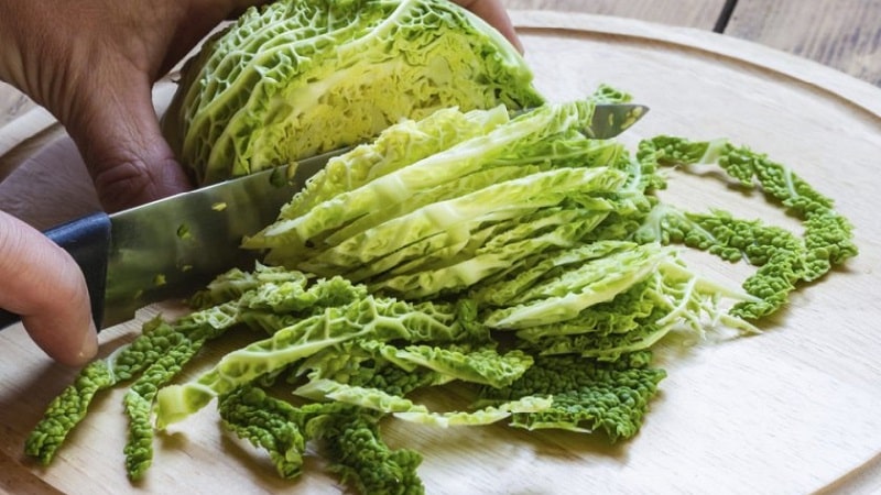 Benefits and harms, features of the use of Savoy cabbage