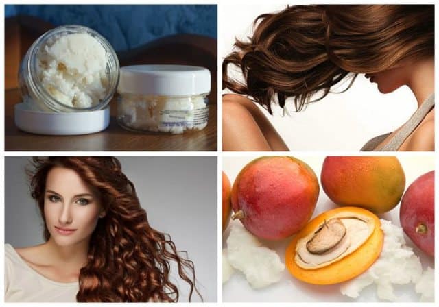 What are the harms and benefits of mangoes for a woman’s body?