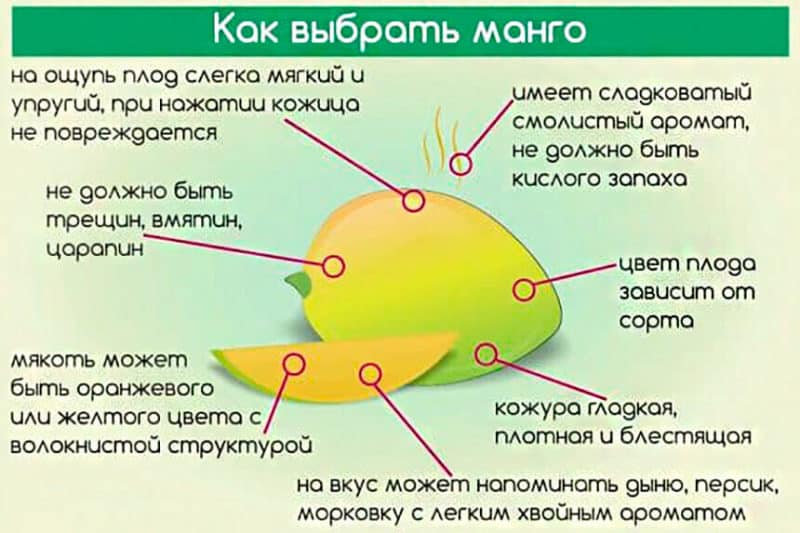 What are the harms and benefits of mangoes for a woman’s body?