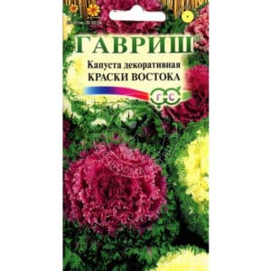 Ornamental cabbage: photo, planting, growing and care