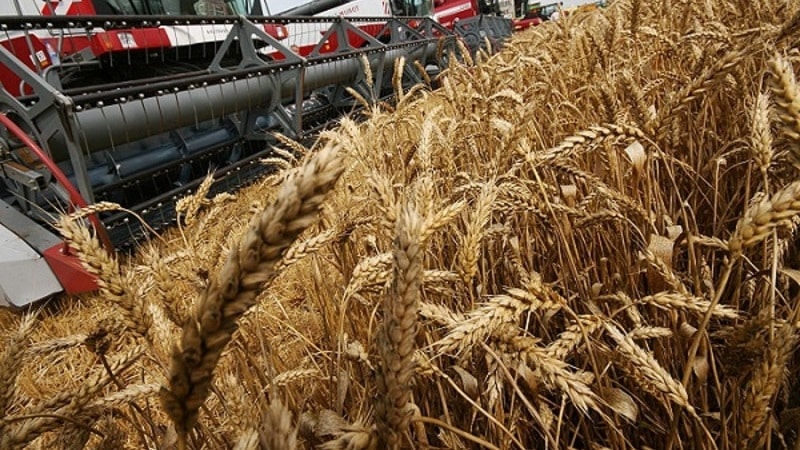 List of the largest wheat producers and exporters