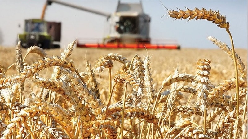 List of the largest wheat producers and exporters