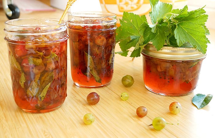 Varieties and features of growing thornless gooseberries