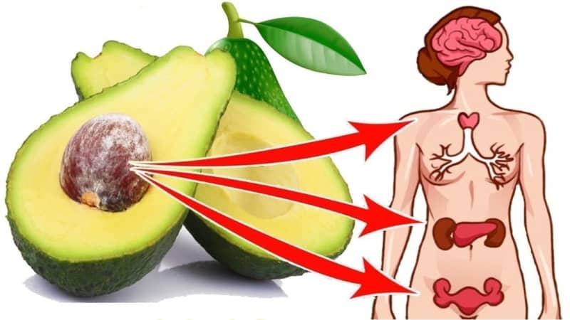 The incredible benefits of avocado for women - myth or reality?