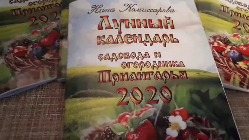 The best time to plant fruit trees in the Moscow region: plant in spring or autumn?