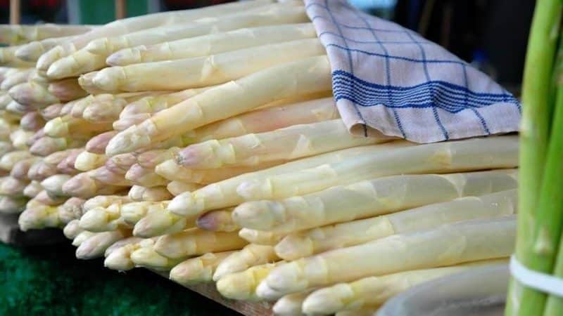 What is white asparagus and why is it this color?