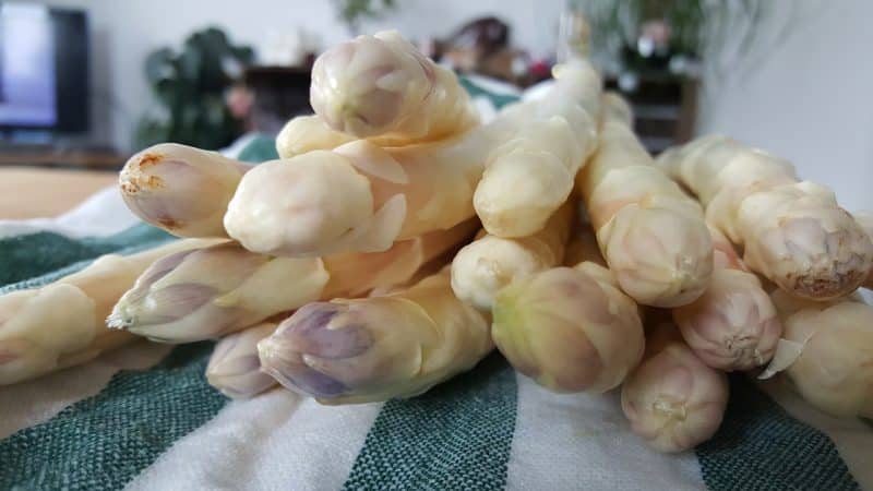 What is white asparagus and why is it this color?