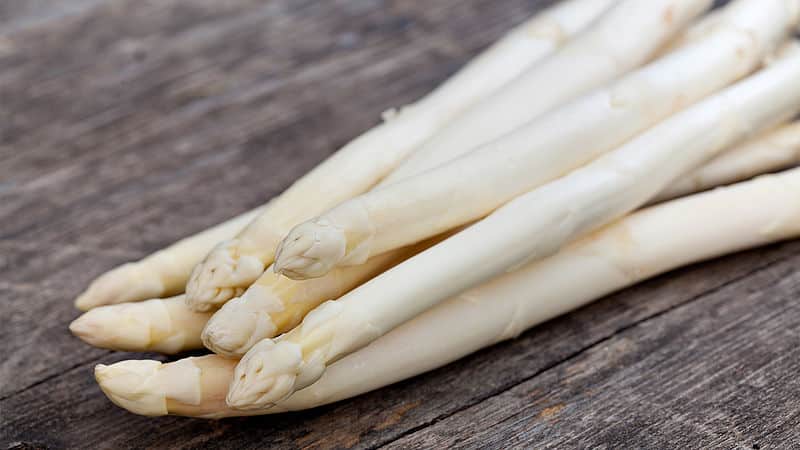 What is white asparagus and why is it this color?