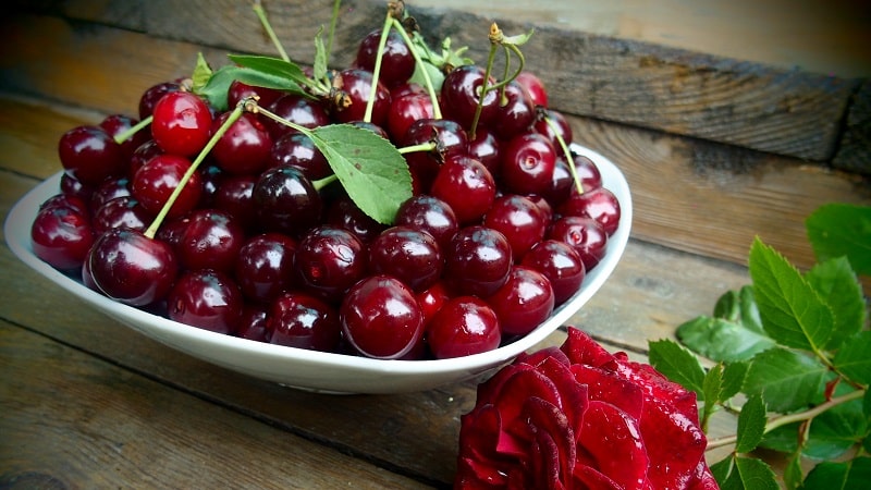 What are the benefits of cherries for a woman’s body?