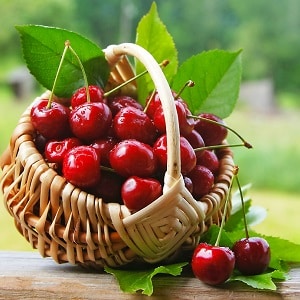 What are the benefits of cherries for a woman’s body?