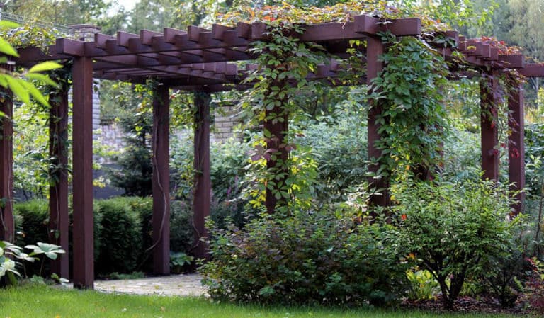 How to make a pergola for grapes with your own hands