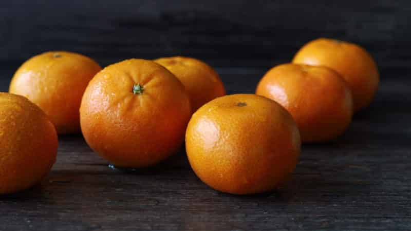 What is the name of the hybrid of lemon and tangerine?