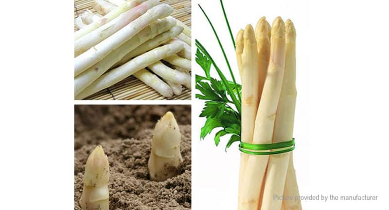 What is white asparagus and why is it this color?
