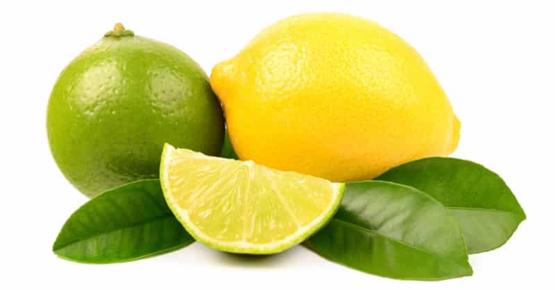 What is lime and how is it different from lemon?