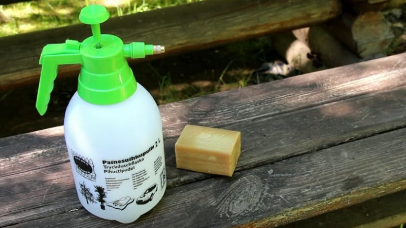 How to treat cabbage against caterpillars and slugs: folk remedies