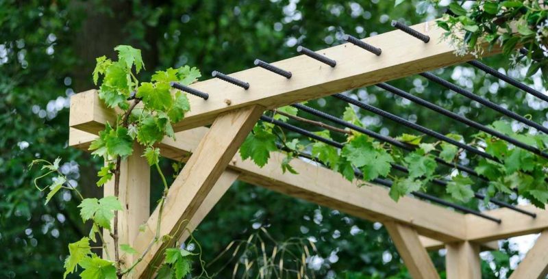 How to make a pergola for grapes with your own hands
