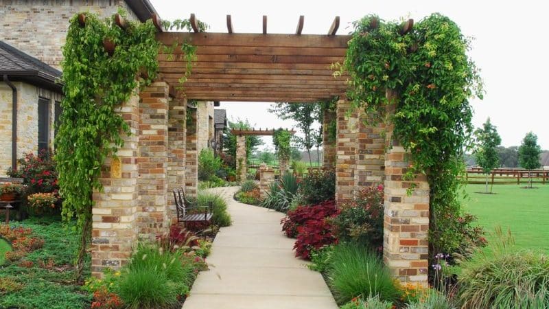 How to make a pergola for grapes with your own hands