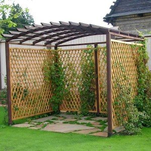 How to make a pergola for grapes with your own hands