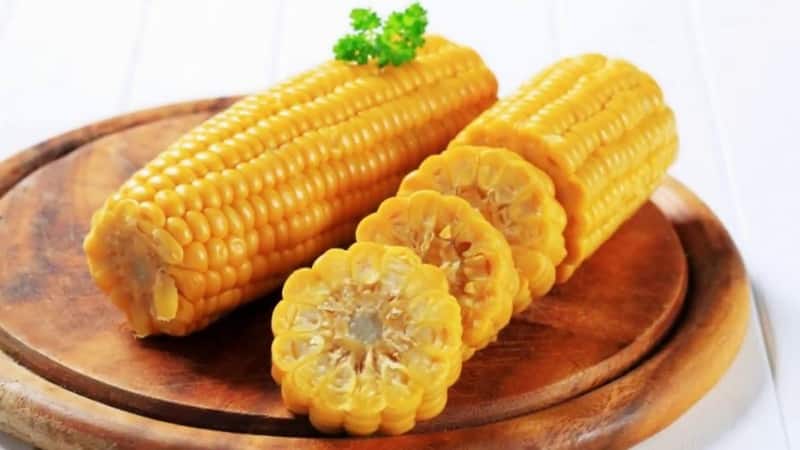 How to distinguish feed corn from food corn and the scope of application of both types