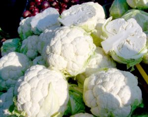 When to cut cauliflower