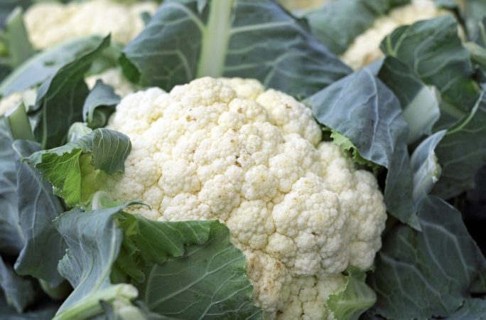 When to cut cauliflower